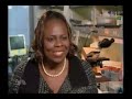 african american women breast cancer pt2 african american women breast cancer pt2