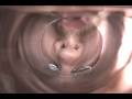 videos de glug
