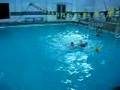 waterpolo Olimpo Bahia Blanca