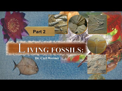 Living Fossils – Dr. Carl Werner, part 2 of 2