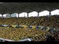 ジェフ千葉 JEF United Chiba fans 5,Oct,2008 -Part2