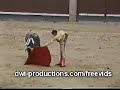 Animal VS Human