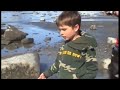 Alaska Exploring Tide Pools with the Kids