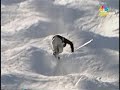 Jonny moseley Slow mo of Dinner roll