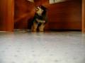 Spudgy Lives!