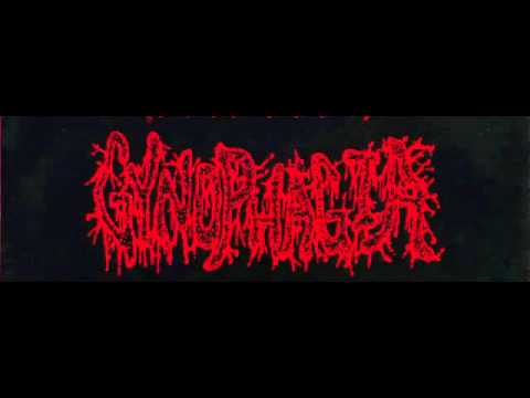 gynophagia