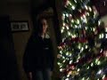 Christmas Tree Boredom Christmas Tree Boredom