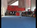 a presentation of the ying jao nim kiu set of bak mei by the sai kwong bak mei martial arts research association in china