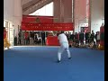 a presentation of the ying jao nim kiu set of bak mei by the sai kwong bak mei martial arts research association in china