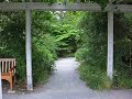 Frank the Bunny Costume Test