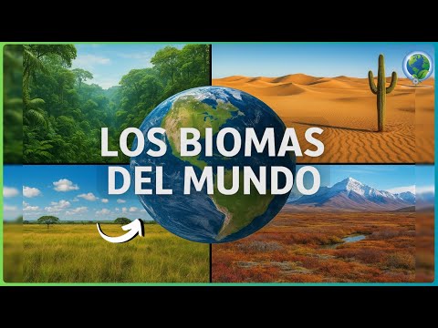 👉 Los Biomas del Mundo 🌍 | Tipos, Características e Importancia en la Ecología