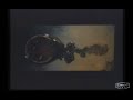 Paul Stamets - Bioremediation with Fungi