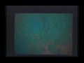 Paul Stamets - Bioremediation with Fungi