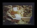 Paul Stamets - Bioremediation with Fungi