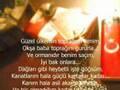 şehit babasına