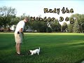 rudy chasing golf balls