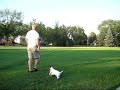 rudy chasing golf balls