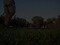 rudy chasing golf balls