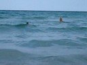 Baywatch 2008 Baywatch 2008