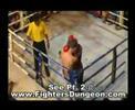 Intense Muay Thai Fight - U.K. vs. South Africa -Bangkok