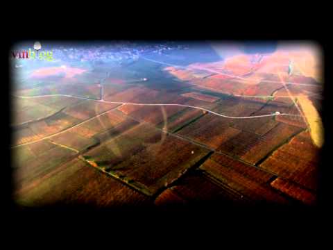 Image de prévisualisation YouTube