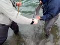 Steelhead Spey flyfishing on the Zymoetz (Copper) River