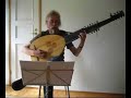 Biber: Passagalia, archlute arrangement