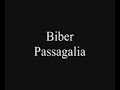 Biber: Passagalia, archlute arrangement