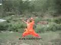 Shaolin Staff Technique