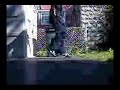 Part 2 Cwalk Seto [1SCW] [No Limit]