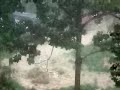 Rainy Day