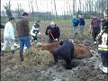 Voorstelling BLID vzw Voorstelling BLID vzw