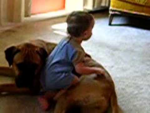 bullmastiff