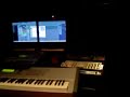 TAINY TUNES MAS FLOW INC
