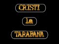 CRISTI la tarabana (tarabanistul)& formatia DAN ARMEANCA!l