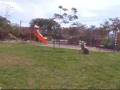 videos de 540 twist almost.wmv