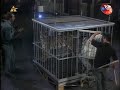 MAGIA BEZ TAJEMNIC 1 ODCINEK CZ.1 MAGIA BEZ TAJEMNIC 1 ODCINEK CZ.1