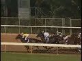 Afleet Alex - 2005 Arkansas Derby