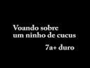 voando sobre um ninhod de cucus voando sobre um ninhod de cucus