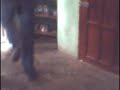 yopo de nuevo bailando yopo de nuevo bailando