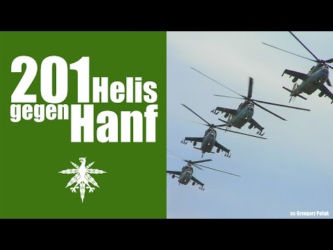 Hanf: NRW - 201 Hubschraubereinsätze gegen Hanf | D ...