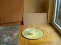potasssium iodide
