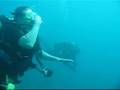 Dive Manzanillo Mexico