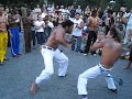 gaviao and chulapa gaviao and chulapa