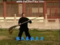 Chen Xiaojia Taijiquan  KwanDao w/Chen Yong-Fu