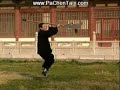 Chen Xiaojia Taijiquan KwanDao w/Chen Yong-Fu Chen Xiaojia Taijiquan KwanDao w/Chen Yong-Fu