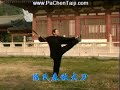 Chen Xiaojia Taijiquan  KwanDao w/Chen Yong-Fu
