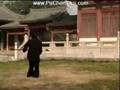 Chen Xiaojia Taijiquan KwanDao w/Chen Yong-Fu