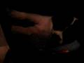videos de Crate training Tasha, my baby papillon