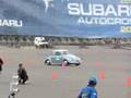 www.VOLKSPERU.com aUTOX SUBARU SET VW ESCARABAJO PERU